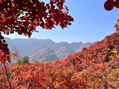 -周口店坡峰岭风景区