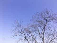 -阳澄湖半岛旅游度假区