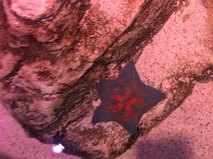 -沈阳海洋探索中心