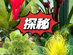 -国家植物园南园