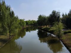 -莫子山公园