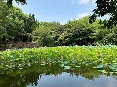 -汤山公园