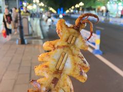 -老虎石海上公园