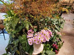 -花二家·生活馆(六运小区店)