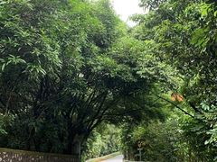 -大欢喜饭店(江怡路店)