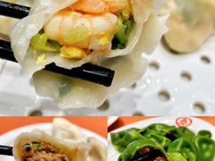 黄瓜虾仁饺-双合园·海鲜水饺青岛菜(九水东路店)