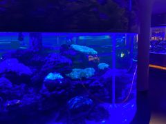 -上和臻品中国菜(花园街店)