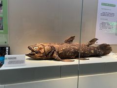 -国家自然博物馆