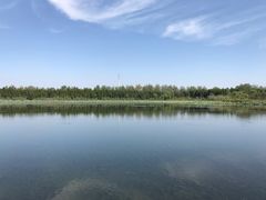 -溱湖国家湿地公园