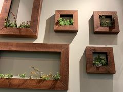 -仙踪林(江燕路万科里店)