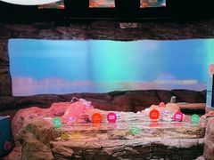 -沈阳海洋探索中心