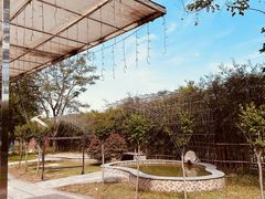 -三江森林温泉度假区