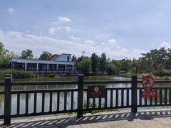 -上海长兴岛郊野公园