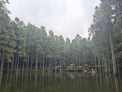 -波尔登森林公园