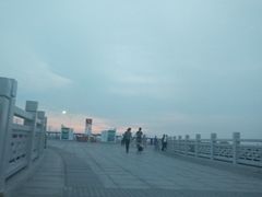 -宝安西湾红树林湿地公园