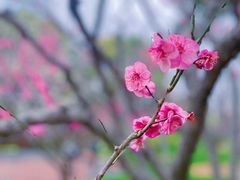 -静安雕塑公园