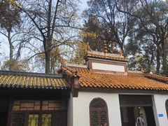 -岳麓山风景名胜区