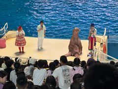 -泉城欧乐堡海洋极地世界