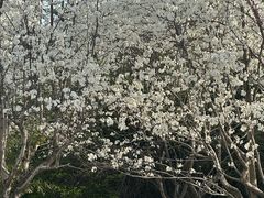 -郑州植物园