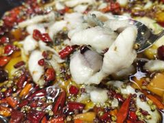 -金三可市井水煮鱼(金碧园店)