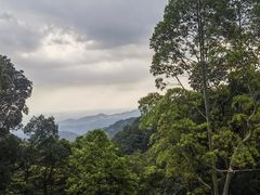 -罗浮山-南楼寺