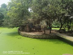 -荆州中山公园动物园