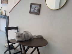 -猫友咖啡店(玉林西路店)