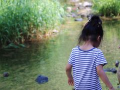 -碓臼峪自然风景区