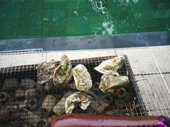 -候鸟水榕庄度假酒店