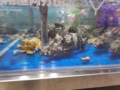 -盒马鲜生(财富中心店)