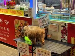 -凤城·食都
