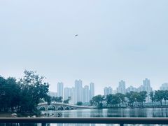 -武汉动物园