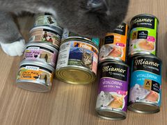 -FAELING PETS美天灵宠物(合生汇店)