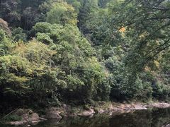 -水墨汀溪风景区