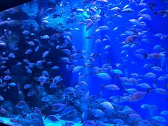 -成都浩海立方海洋公园