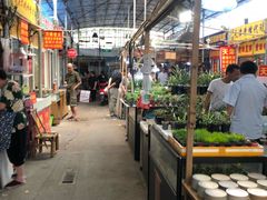 -万商花鸟市场