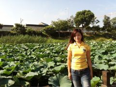 iphone_upload_pic-苏州香山国际大酒店