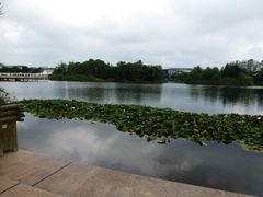 -新江湾城公园