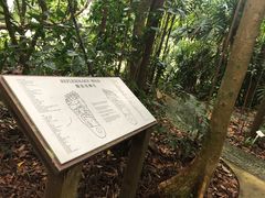 -武吉知马自然保护区