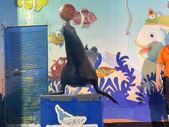 -太平洋海底世界