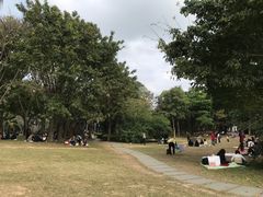 -深圳湾公园(南山区)