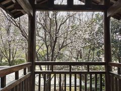 -武汉园博园(武汉自然博物馆)