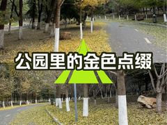 -长白岛森林公园