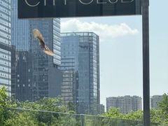 -FOOOO CITY CLUB 孚乐里音乐西餐酒吧(悠方店)