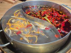 -矮板凳老火锅(宽窄巷子店)