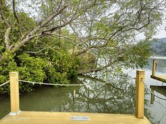 -华侨城湿地公园