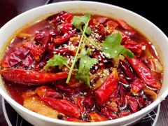 -熊猫川菜馆 panda chine