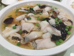 沸腾鱼片-顺风海鲜港(金玉兰店)