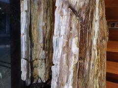 -上海虹梅嘉廷酒店