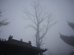 -崀山风景名胜区